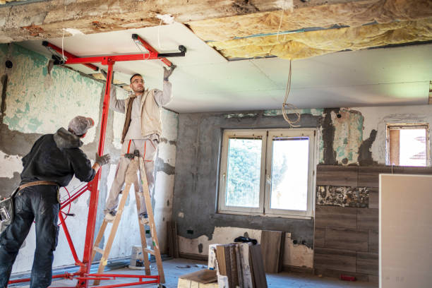Best Geographic-Specific Insulation Services in Poplar Bluff, MO