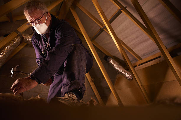 Best Commercial Insulation in Poplar Bluff, MO